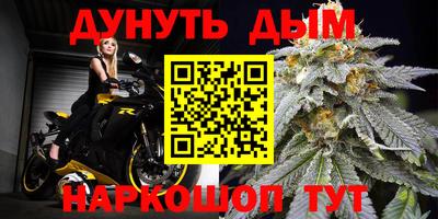 трава Новозыбков