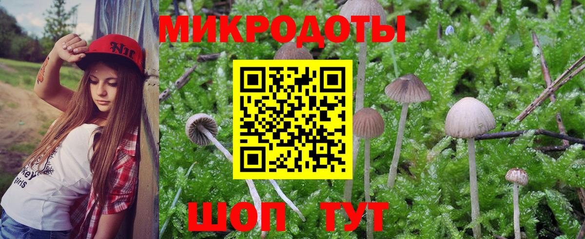 Уварово  Псилоцибиновые грибы Cubensis  Вход с VPN  Псилоцибиновые грибы Psilocybe 